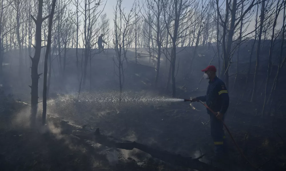 Firefighters operate near Penteli, northeast of Athens, Greece, Monday, Aug. 12, 2024. Hundreds of firefighters backed by dozens of water-dropping planes and helicopters were battling the flames from first light Monday.(AP Photo/Michael Varaklas)