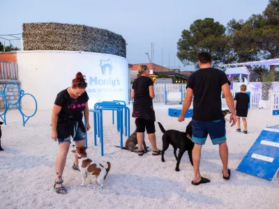 Monty's beach pasja plaža v Portorožu