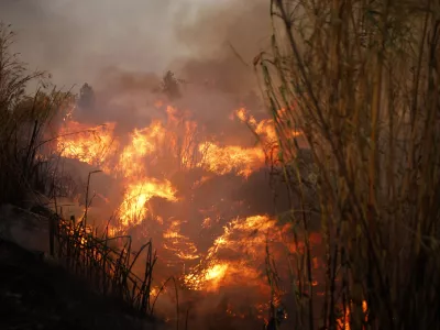 12 August 2024, Greece, Athens: Flames rage in a forest fire in Ano Patima near Penteli in the northern Athens region. EU member states are sending aid to Greece to help emergency services in battling the country's biggest wildfire of the year on Monday, with multiple flash points burning across some 200 square kilometres of woodland north-east of the capital Athens. Photo: Socrates Baltagiannis/dpa