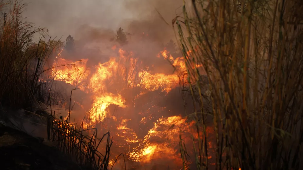 12 August 2024, Greece, Athens: Flames rage in a forest fire in Ano Patima near Penteli in the northern Athens region. EU member states are sending aid to Greece to help emergency services in battling the country's biggest wildfire of the year on Monday, with multiple flash points burning across some 200 square kilometres of woodland north-east of the capital Athens. Photo: Socrates Baltagiannis/dpa