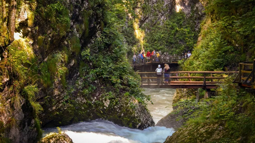 The Vintgar Gorge or Bled Gorge is a 1.6-kilometer gorge in northwestern Slovenia in the municipalities of Gorje and Bled. / Foto: Pedro Costa Simeao