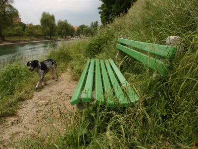 Ljubljanica, klop, pes, zanemarjeno nabrežje, trava