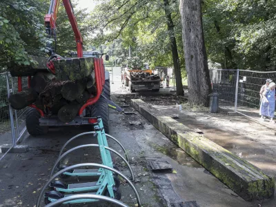 Na ljubljanski občini zagotavljajo, da bo mostiček med Koseškim bajerjem in Žabjo ulico po prenovi varnejši za uporabo. Foto: Jaka Gasar