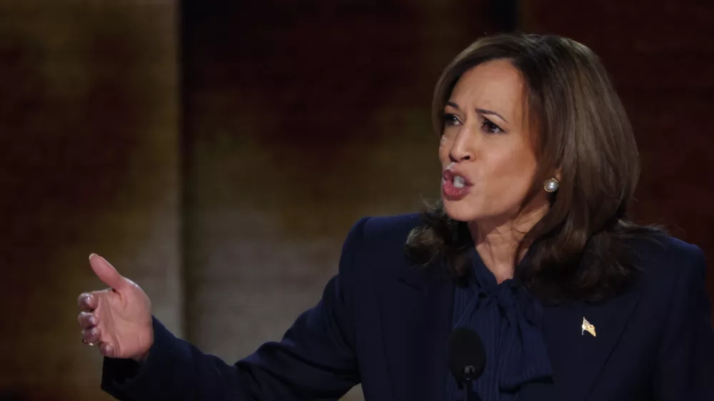 Democratic presidential nominee and U.S. Vice President Kamala Harris takes the stage on Day 4 of the Democratic National Convention (DNC) at the United Center in Chicago, Illinois, U.S., August 22, 2024. REUTERS/Mike Segar