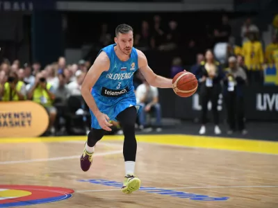 Goran Dragić, Slovenija