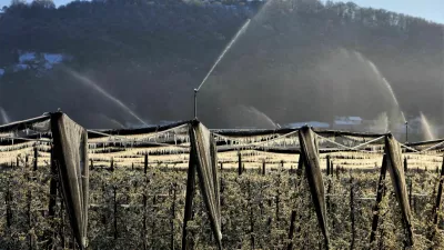 ﻿Evrosad, gazela, oroševalni sistem