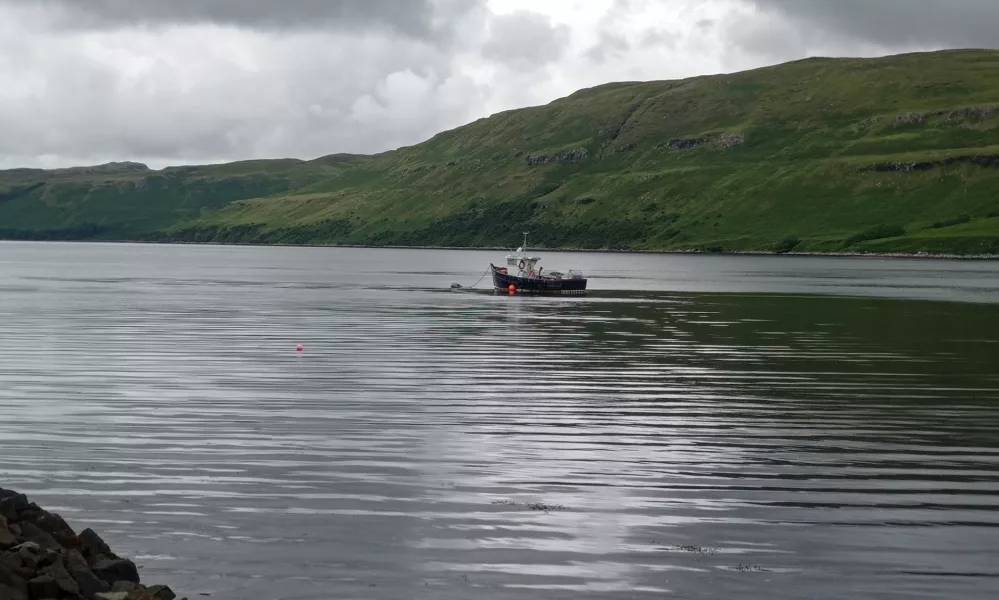 Igra deklice s kužkom na obrežju jezera Harport na škotskem otoku Isle of Skye