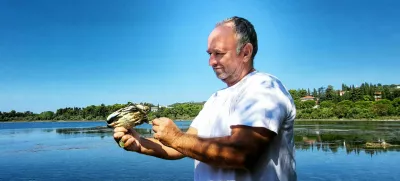 Nevijo Vižintin modra rakovica / Foto: Katja Gleščič 