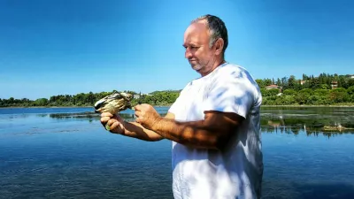 Nevijo Vižintin modra rakovica / Foto: Katja Gleščič 