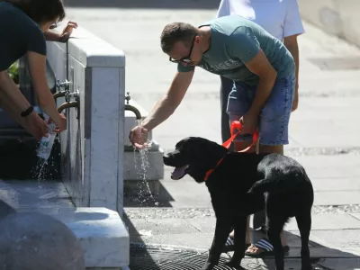 13.08.2024 - vročina - vročinski val - turistična sezona - poletje v Ljubljani - pitnik - osvežitevFOTO: Luka Cjuha