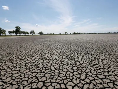 FILE PHOTO: A general view shows almost dried up Lake Zicksee near Sankt Andrae, as another heatwave is predicted for parts of the country, in Austria, August 12, 2022. REUTERS/Leonhard Foeger/File Photo