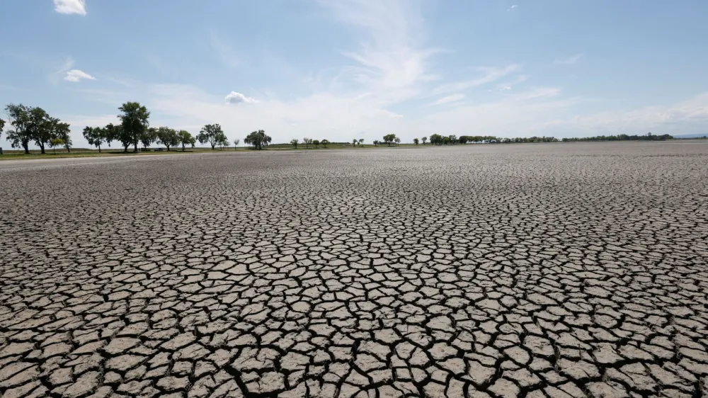 FILE PHOTO: A general view shows almost dried up Lake Zicksee near Sankt Andrae, as another heatwave is predicted for parts of the country, in Austria, August 12, 2022. REUTERS/Leonhard Foeger/File Photo