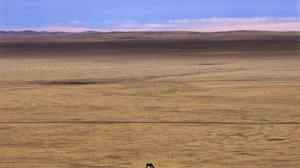 A lone horse grazes in the Munkh-Khaan region of the Sukhbaatar district, in southeast Mongolia, Saturday, May 13, 2023. Chronic drought plagues Mongolia. So does warming. Since 1940, the country's government says, average temperatures have risen 2.2 degrees Celsius (nearly 4 degrees Fahrenheit) — a measure that may seem small, but for global averages, scientists say every tenth of a degree matters, and a warming world brings more weather extremes. (AP Photo/Manish Swarup)