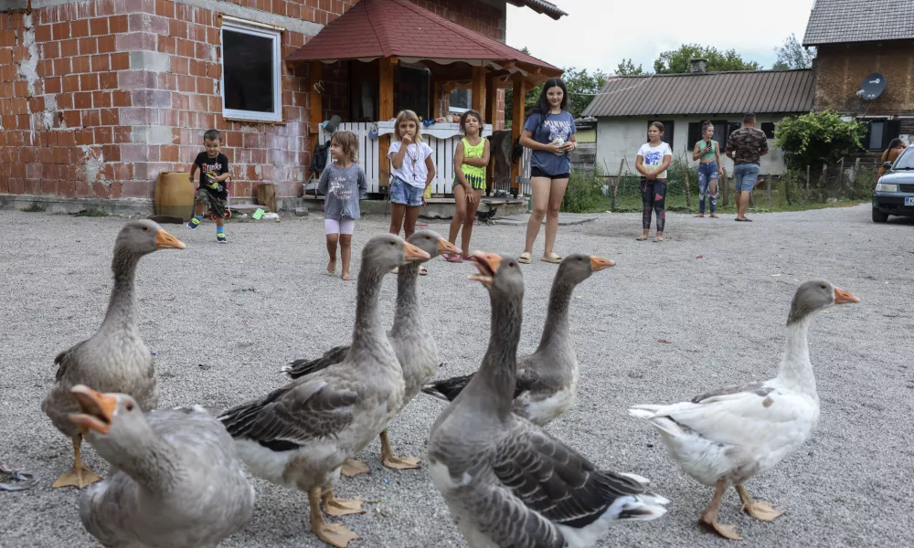 - 19.08.2024 - Romsko naselje Otavice - problematika pitne vode //FOTO: Jaka Gasar