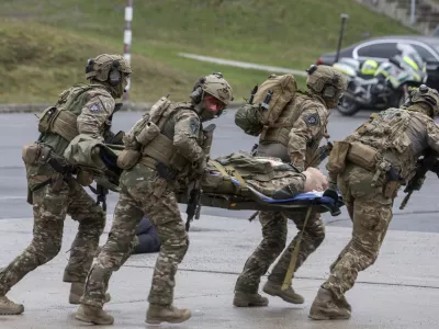 Največ zavarovancev poklicnega zavarovanja je v javnem sektorju, in sicer v vojski in policiji. Fotografija je simbolična. Foto: Jaka Gasar