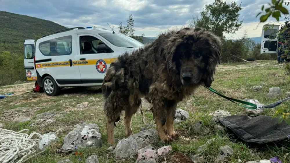 Splitski reševalci so iz globoke jame rešili šarplaninca, ki so mu kasneje poimenovali Jakov. 