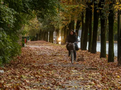 ﻿- 05.11.2019 – vremenska slika – jesen - močan veter in deževje v Ljubljani – vreme - jesensko listje - kolesarka –  //FOTO: Luka Cjuha.