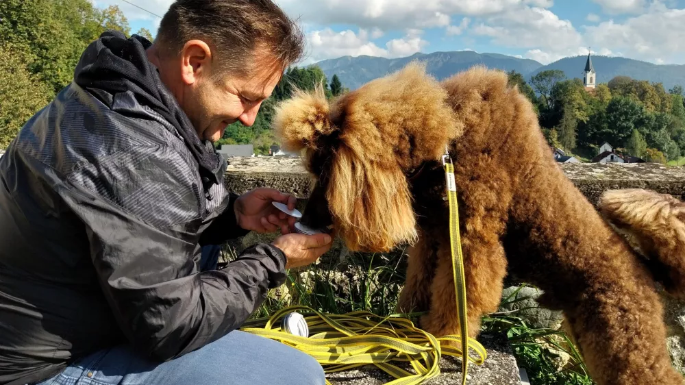 Radovedni Joy je na grajskem dvorišču zelo hitro našel škatlico z namigom. Foto: Vesna Levičnik