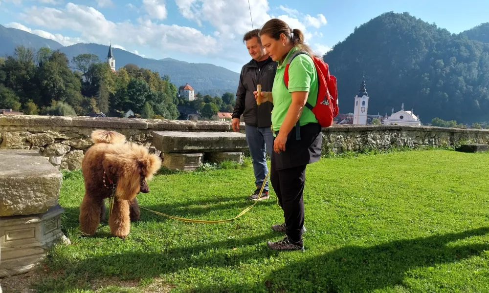 Kraljevi koder Joy se je odlično vživel v vlogo pasjega detektiva. Foto: Vesna Levičnik