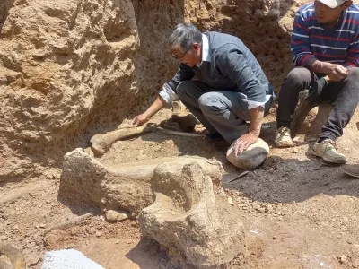 Engineer and mastodon researcher Oscar Diaz cleans remains of an Ice Age mastodon, believed to be between 11,000 and 12,000 years old, in Chambara, Peru September 5, 2024. Museum of Natural History - UNMSM/Handout via REUTERS ATTENTION EDITORS - THIS IMAGE HAS BEEN SUPPLIED BY A THIRD PARTY NO RESALES. NO ARCHIVES. BEST QUALITY AVAILABLE