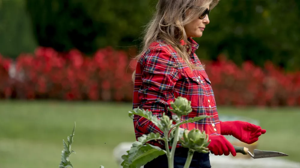 FILE - First lady Melania Trump participates in an harvesting and planting event with the Boys and Girls Club of Washington in the White House Kitchen Garden on the South Lawn of the White House, Sept. 22, 2017, in Washington. (AP Photo/Andrew Harnik, File)