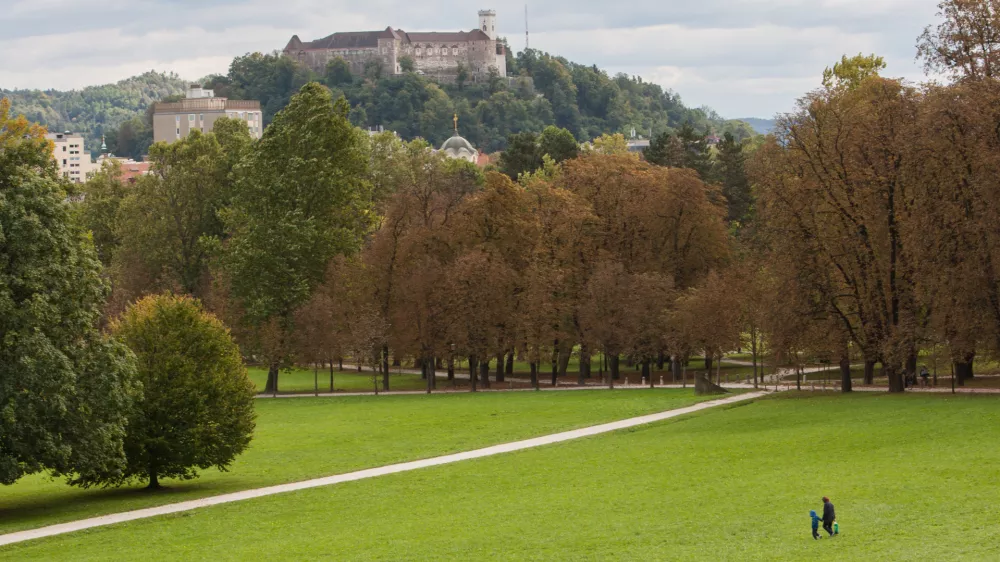 Glede na dosedanje število zbranih podpisov ni pričakovati, da bo v Ljubljani izveden referendum o krajinskem parku. Foto: Maja Marko