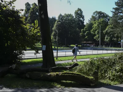 31.07.2024 - Poškodovana drevesa, park Tivoli. FOTO: Nik Erik Neubauer