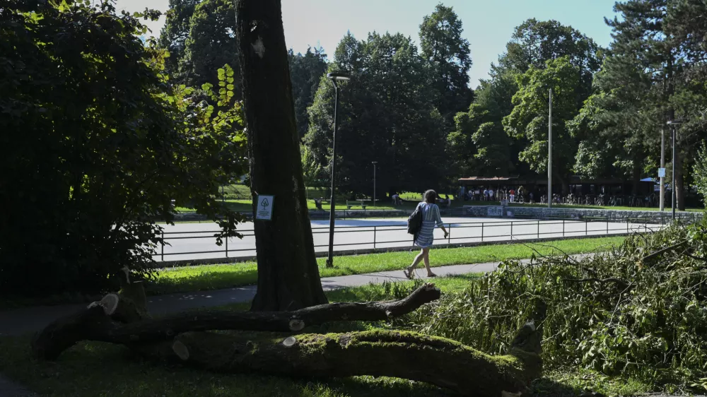 31.07.2024 - Poškodovana drevesa, park Tivoli. FOTO: Nik Erik Neubauer