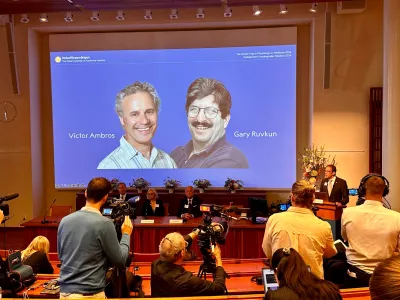 07 October 2024, Sweden, Stockholm: Thomas Perlmann (R), Secretary of the Nobel Assembly, announces the winners of the 2024 Nobel Prize in Medicine, (L-R) Victor Ambros and Gary Ruvkun, photos of whom are projected onto a screen. The 2024 Nobel Prize in Medicine goes to Ambros and Ruvkun for the discovery of microRNA and its role in gene regulation. Photo: Steffen Trumpf/dpa