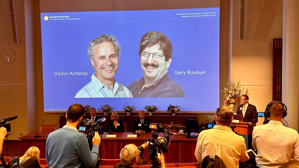 07 October 2024, Sweden, Stockholm: Thomas Perlmann (R), Secretary of the Nobel Assembly, announces the winners of the 2024 Nobel Prize in Medicine, (L-R) Victor Ambros and Gary Ruvkun, photos of whom are projected onto a screen. The 2024 Nobel Prize in Medicine goes to Ambros and Ruvkun for the discovery of microRNA and its role in gene regulation. Photo: Steffen Trumpf/dpa