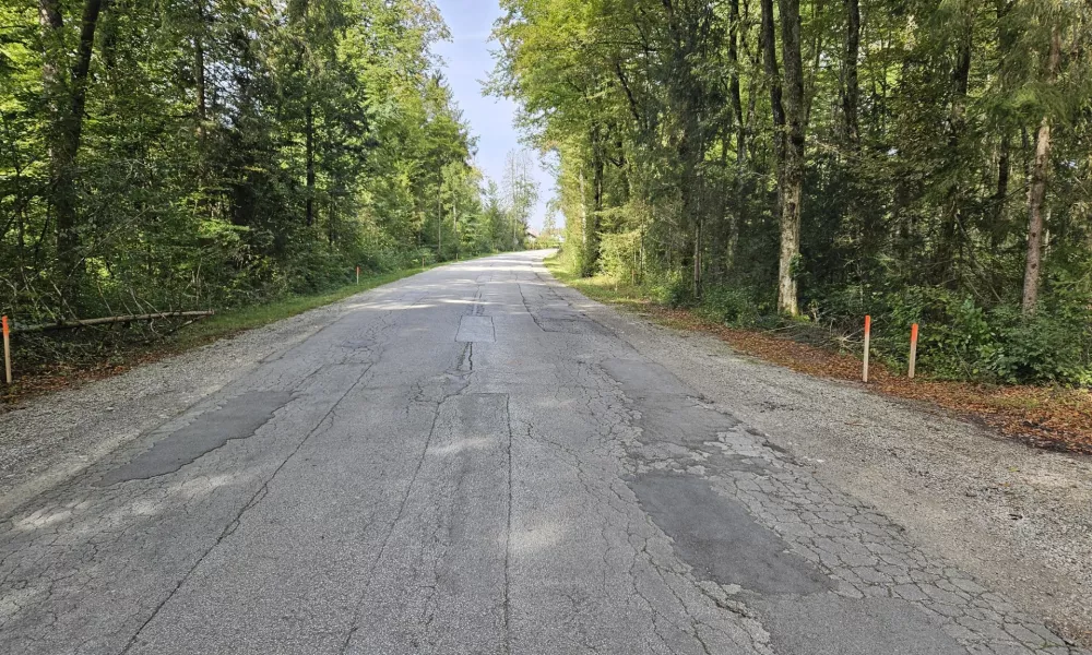 Polkilometrski odsek med Bregom ob Savi in Jamo bodo razširili in uredili tudi kolesarsko stezo. Foto: MOK