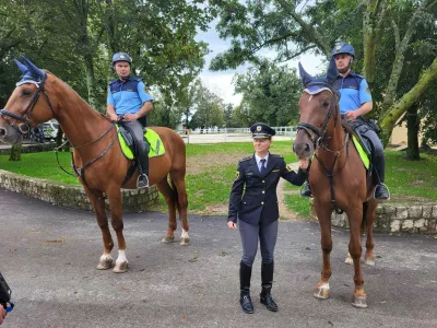 Lipica, kobilarna, 50. let ljubljanske konjeniške policije, policija, policijski konj