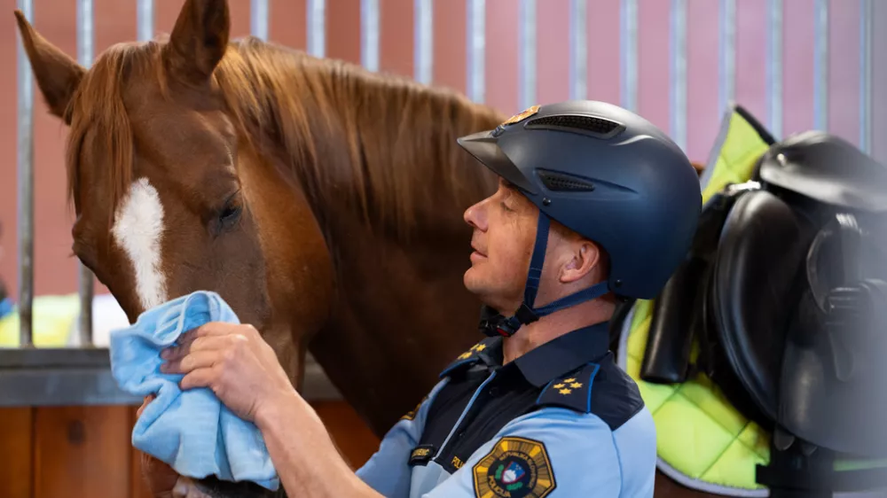 policist konjenik / Foto: Klemen Udovc/pu Ljubljana