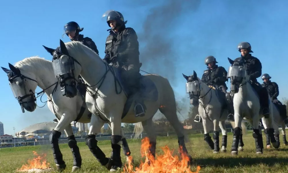 trening policijskih konj / Foto: Arhiv Pu Ljubljana