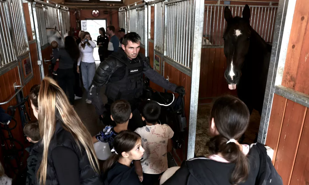 70. let Konjeniške policije Ljubljana; konji; policija; policija na konjih; konjeniška policija