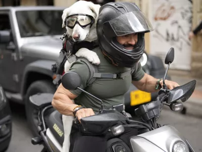 A goggle-wearing dog is strapped to a motorcycle driver's back as they wait at a stoplight in Bogota, Colombia, Wednesday, Oct. 9, 2024. (AP Photo/Fernando Vergara)