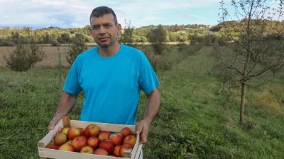 14.10.2024 - Damjan Kmetič- pridelovalec znamenitih kozjanskih jabolkFOTO: Luka Cjuha