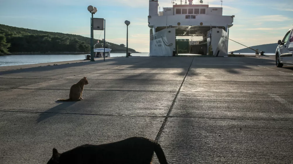 ﻿- 2018 – Trtajekti na Hrvaškem - trajekt hrvaškega ladjarskega podjetja Jadrolinija //FOTO: Luka CjuhaOPOMBA: REPORTAŽA ZA OBJEKTIV 2019.