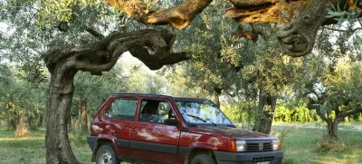 C5N8R6 Fiat Panda parked in an olive grove in Italy.