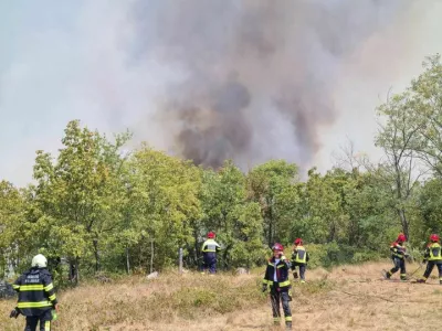 Na terenu je bilo že zjutraj več kot 180 gasilcev s 60 vozili iz kraške in goriške gasilske zveze ter gasilskih zvez Ilirska Bistrica, Postojna, Vipava in Ajdovščina. 