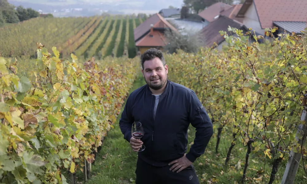 vinar Janez Colnar - 13.10.2022 – Vinska klet Colnar – vinogradništvo in vinarstvo na Trški gori, Črešnjice 124, Otočec  //FOTO: Jaka Gasar / Foto: Jaka Gasar