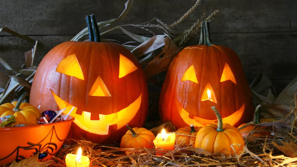 ﻿Scarved jack-o-lanterns, buče, noč čarovnic