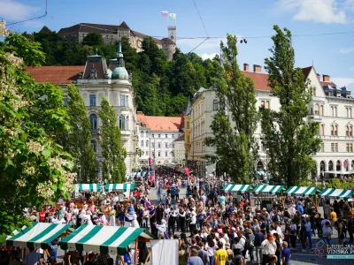 Organizatorji festivala napovedujejo izjemno bogat festival, na katerem pričakujejo več kot 110 vinarjev vseh vinorodnih dežel Slovenije. 