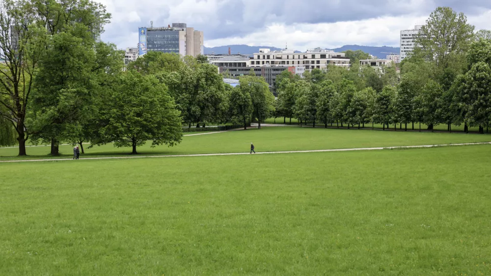 Zavod za varstvo narave Slovenije je že sredi julija opozoril, da ljubljanska občina odloka o Krajinskem parku Tivoli, Rožnik in Šišenski hrib ne bi smela spreminjati brez njihovega strokovnega predloga. Foto: Jaka Gasar 