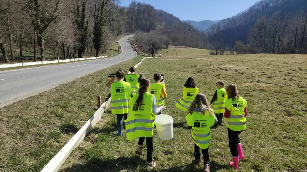 Kozjanski park, Trebče: našli rešitev za žabice