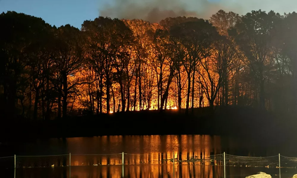 Smoke billows from a fire at Prospect Park, New York City, New York, U.S., November 8, 2024, in this picture obtained from social media. Michelle Paggi, Ph.D./via REUTERS THIS IMAGE HAS BEEN SUPPLIED BY A THIRD PARTY. MANDATORY CREDIT. NO RESALES. NO ARCHIVES.   TPX IMAGES OF THE DAY