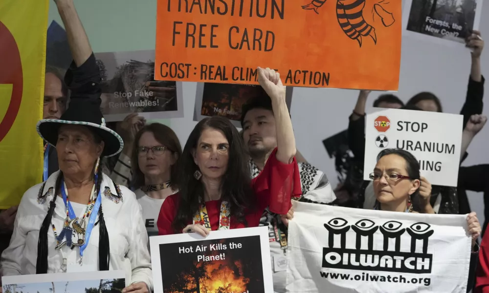 Activists participate in a demonstration at the COP29 U.N. Climate Summit, Thursday, Nov. 14, 2024, in Baku, Azerbaijan. (AP Photo/Sergei Grits)