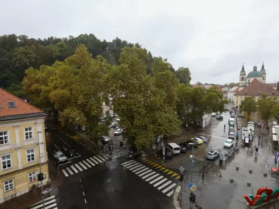 3.10.2024 - Grajski grič - Ljubljanski grad, območcje pred posekom dreves. Foto: Luka Cjuha