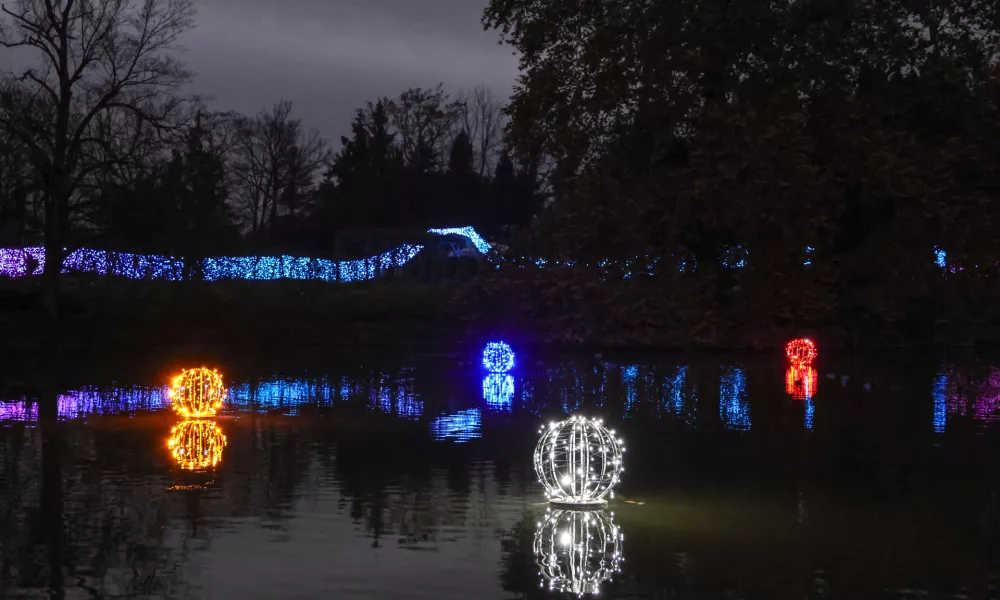 Romantičen pogled na s svetlobnimi elementi okrašeno jezero. Foto: Klara Kopač, Arboretum Volčji potok