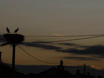 -Štorklje-Prekmurje, reportaža//FOTO: Bojan VelikonjaOPOMBA: ZA OBJAVO ZA OBJAVO V PRILOGI – DNEVNIKOV OBJEKTIV - REPORTAŽA